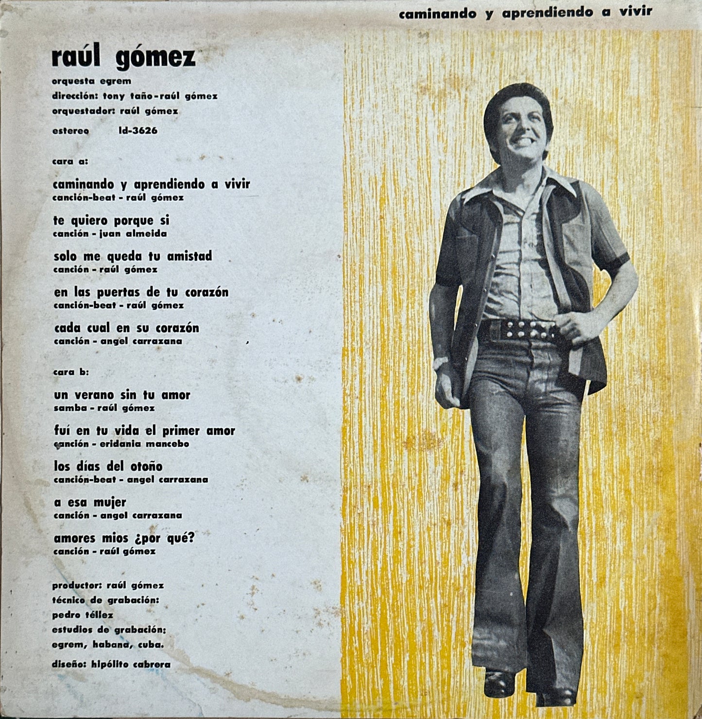 Raul Gomez - Caminando y aprendiendo a Vivir