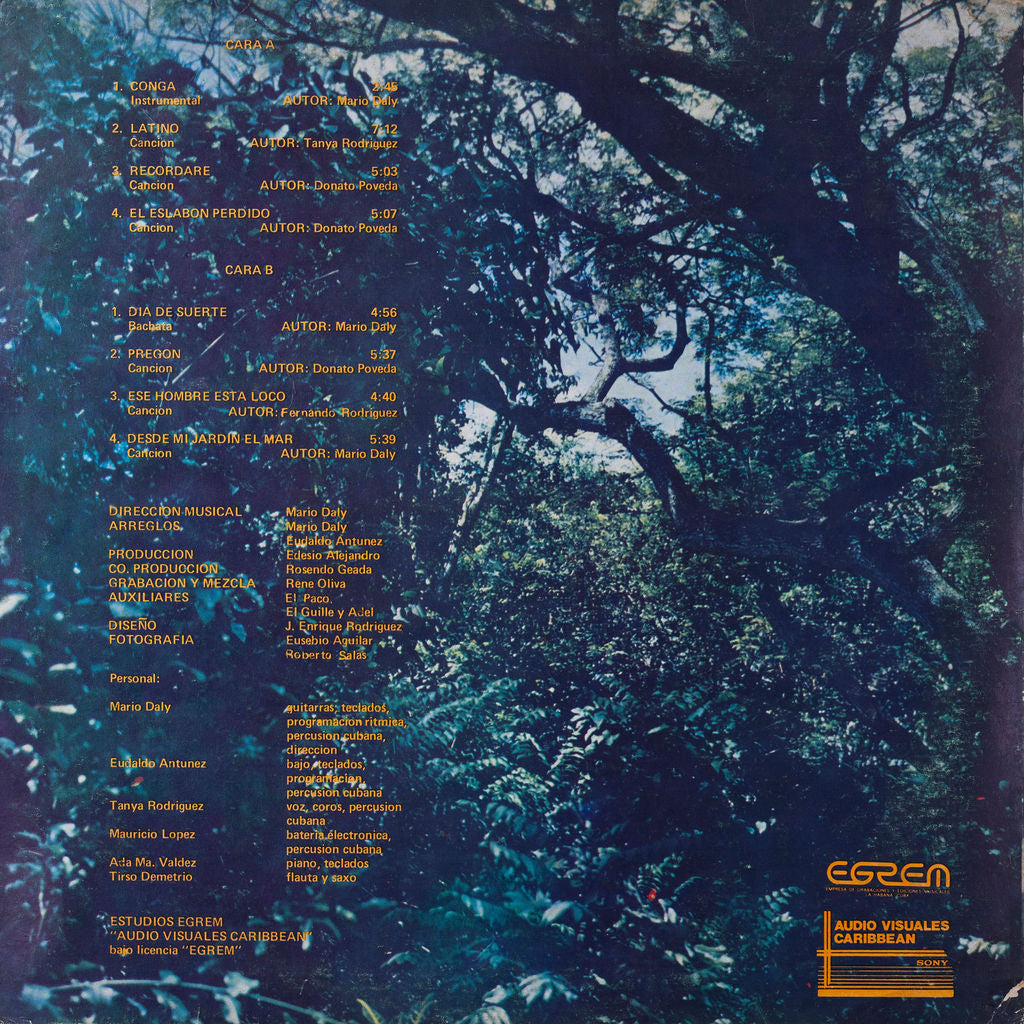 Monte de Espuma - Latino